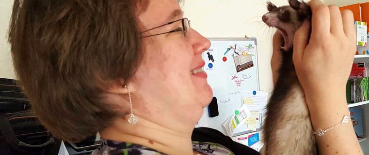 la secretaire des furets