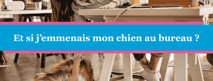 Et si j’emmenais mon chien au bureau