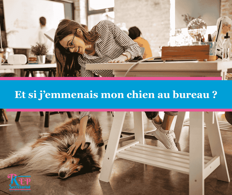Et si j’emmenais mon chien au bureau